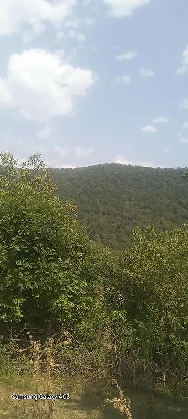qala torpaq satılır: 18 sot — 7