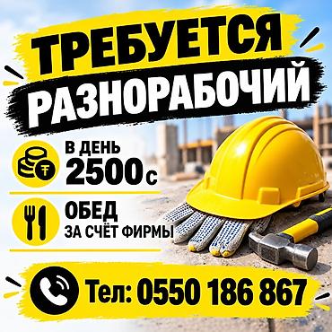 Требуется Разнорабочий, Оплата: Ежедневно, Без опыта