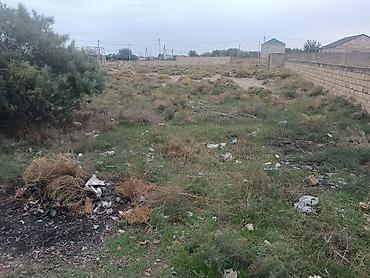 6 sot, Tikinti, Mülkiyyətçi, Kupça (Çıxarış)