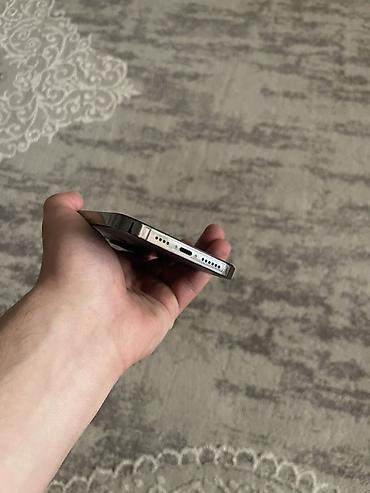 Apple iPhone: IPhone 13 Pro Max, 128 ГБ, Графит — 12
