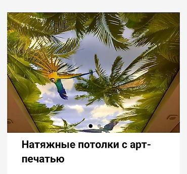 Натяжной потолок: Натяжной потолок 3D потолки, Глянцевое, Матовое Бесплатная консультация, Монтаж, Бесплатный замер — 8