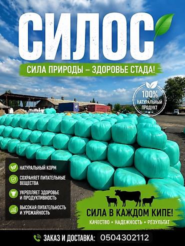 Силос высшего качества цена 7 сом за кг В любом количестве звоните