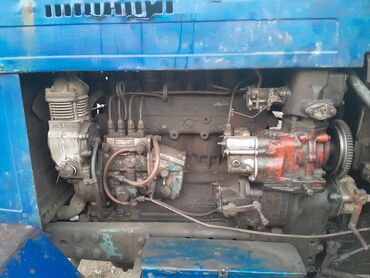 Traktorlar: Traktor Belarus (MTZ) 80,1, 1982 il, 58 at gücü, motor 4.7 l, İşlənmiş — 8