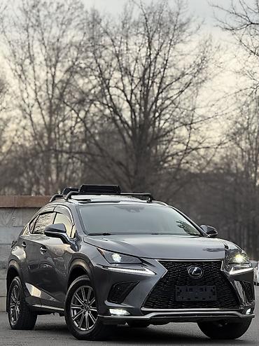 Lexus: Lexus NX: 2019 г., 2 л, Автомат, Бензин, Кроссовер — 1