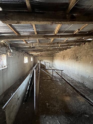 Продажа коттеджей и домов: Продаётся уютный дом в селе Кунтуу! 🏡 Участок 18 соток, дом 70 м² — 4 — 9