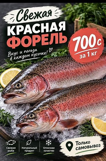 софлер масло: Свежая красная форель - Натуральный продукт, отличное качество - Вкус — 1