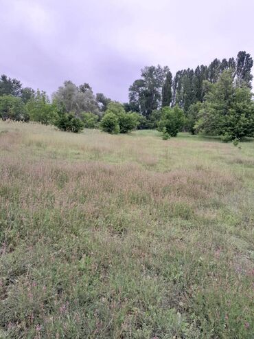 Torpaq sahələrinin satışı: 75 sot, Tikinti, Maklerlər narahat etməsin, Kupça (Çıxarış) -da lalafo.az — 14 Torpaq sahələrinin satışı: 75 sot, Tikinti, Maklerlər narahat etməsin, Kupça (Çıxarış) — 14