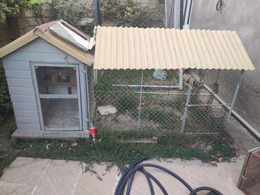 Akvariumlar: Quş və ya dovşanlar üçün qəfəs-komplekt - Taxta evciyazlı əsas bölmə