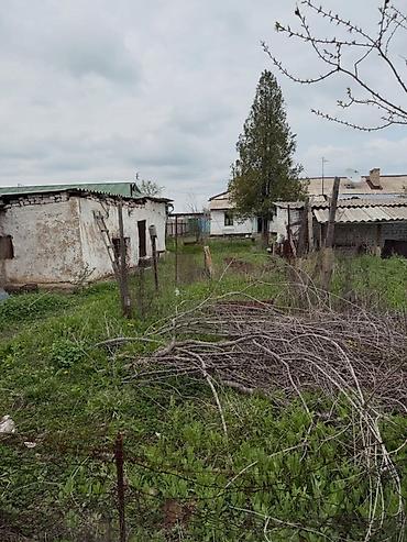 Продажа домов: Коттедж, с. Петровка (военный городок), ул. Фрунзе, 56/1. Кадастровый — 5