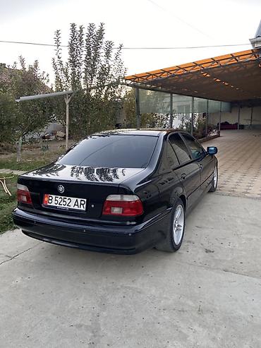 продаю вазу: BMW 5 series: 2001 г., Седан — 3