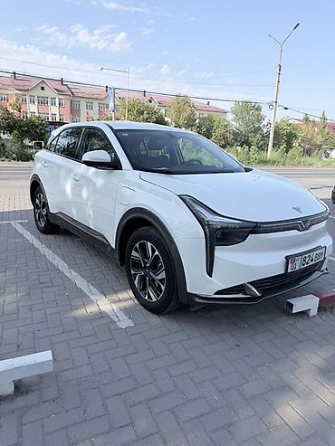 hozon: Hozon Neta U-II: 2023 г., 0.1 л, Автомат, Электромобиль, Кроссовер — 2