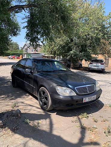 старые машины: Mercedes-Benz S-Class: 1999 г., 3.7 л, Автомат, Бензин, Седан — 3
