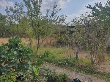 Продажа домов: Дача, 50 м², 3 комнаты, Собственник — 8