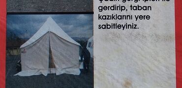 ag koynekler: Digər