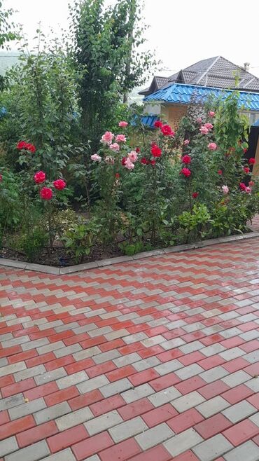 Həyət evləri və villaların satışı: 8 otaq, 300 kv. m, Kredit yoxdur, Yeni təmirli — 3