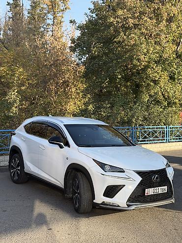 ford rapter: Lexus NX: 2019 г., 2 л, Автомат, Бензин, Кроссовер — 6
