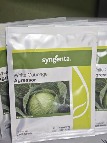 Овощи: Семена овощей: Помидоры, Огурцы, Лук, Самовывоз, Бесплатная доставка, Платная доставка — 21