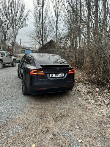 Tesla: Tesla Model X: 2020 г., 0.1 л, Механика, Электромобиль, Кроссовер — 3
