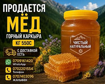 Таза бал сатылат оптом 500кг суйлошобуз at lalafo.kg — 5 Таза бал сатылат оптом 500кг суйлошобуз — 5