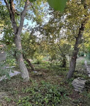 продажа перегноя: Курулуш, Кызыл китеп