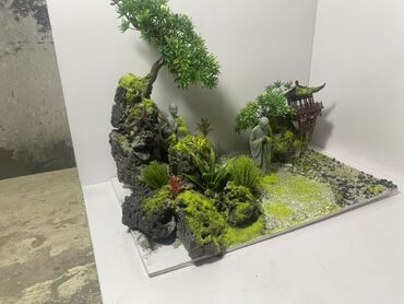 Саженцы растений: Bu, miniatür yapon bağçası tərzində hazırlanmış dekorativ