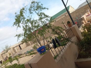 Bağ evlərinin satışı: Zeynalabdin Tağıyev, 120 kv. m, 4 otaqlı, Hovuzsuz, Qaz, İşıq, Su -da lalafo.az — 14 Bağ evlərinin satışı: Zeynalabdin Tağıyev, 120 kv. m, 4 otaqlı, Hovuzsuz, Qaz, İşıq, Su — 14