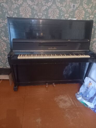 Pianolar: Piano, Akustik