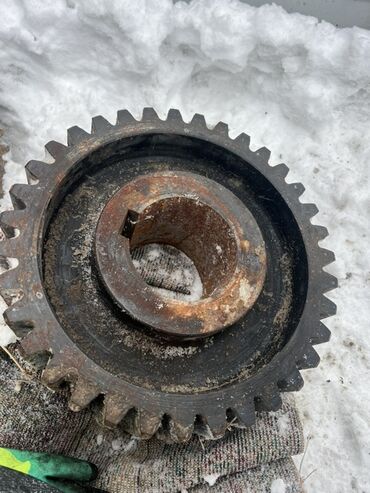 садовый измелчитель: Зубчатые колёса (шестерни) из стали Комплект массивных прямозубых