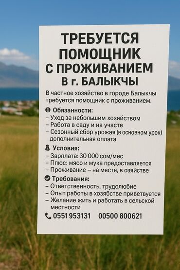яндекс такси работа: В частное хозяйство в городе Балыкчы требуется помощник с проживанием
