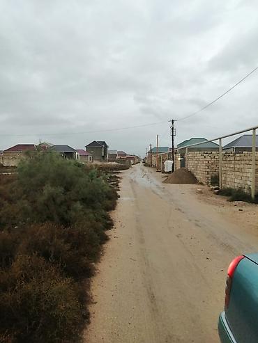 Torpaq: Kənd təsərrüfatı, Kupça (Çıxarış) — 5