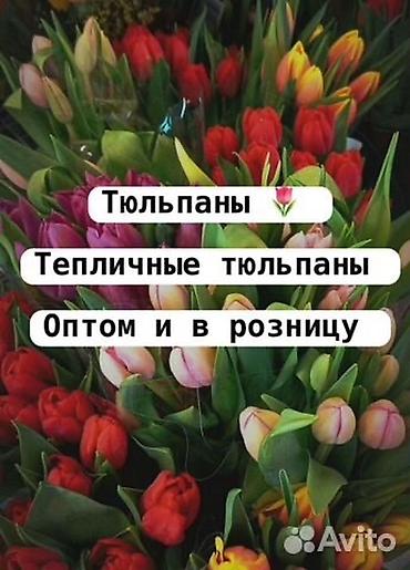 Букеты из живых цветов: Свежие тюльпаны в большом количестве! 🌷 💰 Цены: — В розницу —130 — — 1