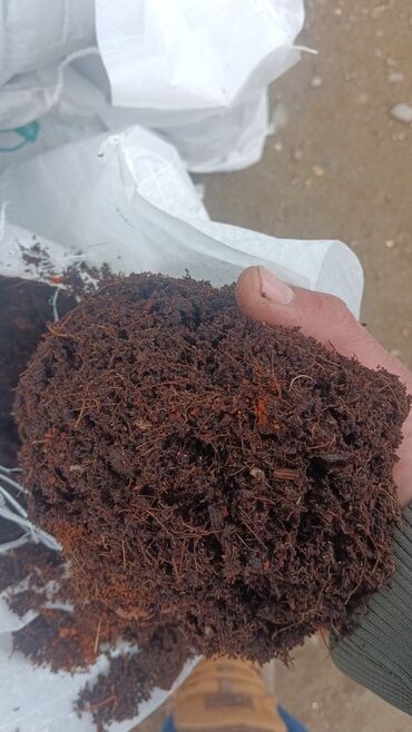 Torf: Torflar 250 litrlik rusiya usdehsali gullerin ekini şitillerin ekini — 2