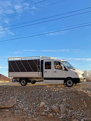 1 тонник: Грузовой фургон-пикап на базе Mercedes-Benz Sprinter (двухрядная — 1