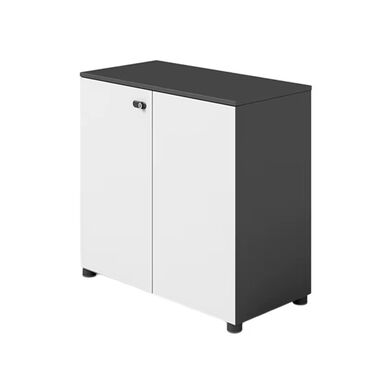 pul yigmaq ucun qab: İki qapılı kompakt şkaf - Minimalist dizayn: düz xətlər, mat səth lalafo.az -da pul yigmaq ucun qab: İki qapılı kompakt şkaf - Minimalist dizayn: düz xətlər, mat səth