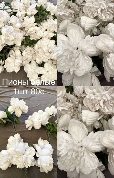 продаю пионы: Искусственные б/у пионы белые