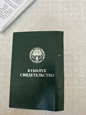 кызыл кия кыз: 460 соток, Айыл чарба үчүн, Кызыл китеп — 7