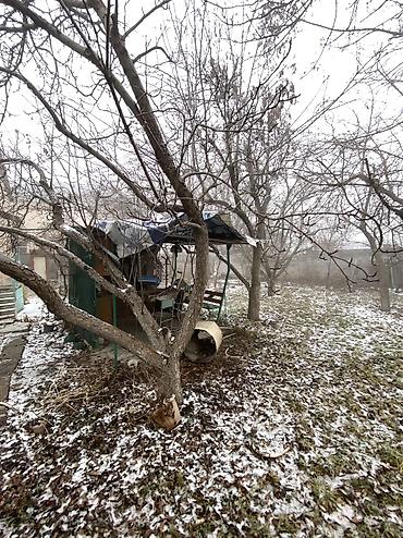 Продажа участков: 9 соток, Красная книга at lalafo.kg — 15 Продажа участков: 9 соток, Красная книга — 15