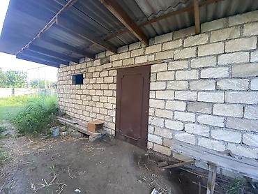 Digər tikinti materialları: 20 sot torpaq sahəsi 25 gilas agacı 11 göyçə sortu alça agacı 4 gavalı -da lalafo.az — 10 Digər tikinti materialları: 20 sot torpaq sahəsi 25 gilas agacı 11 göyçə sortu alça agacı 4 gavalı — 10