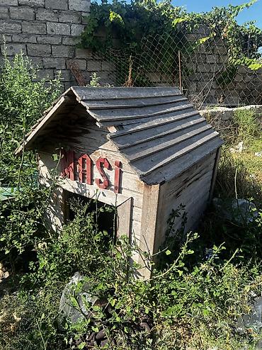 it yuvasi satilir: Salamm itlər çün yuvlar kimm istsə yazsınn 3 dənədi 230 mamatdıı ünvan — 3