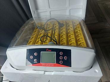 ingubator: HHD 56 yumurta inkubatoru - Rəqəmsal idarəetmə paneli və LED ekran — 1