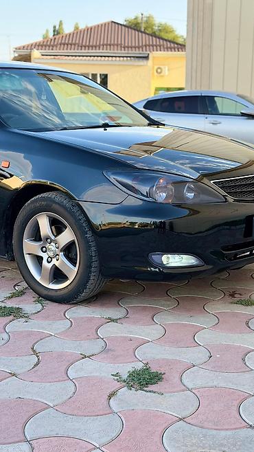тайота кэмри: Toyota Camry: 2003 г., 2.4 л, Автомат, Бензин, Седан — 4