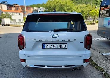 Hyundai: Hyundai Palisade: 2022 г. — 14