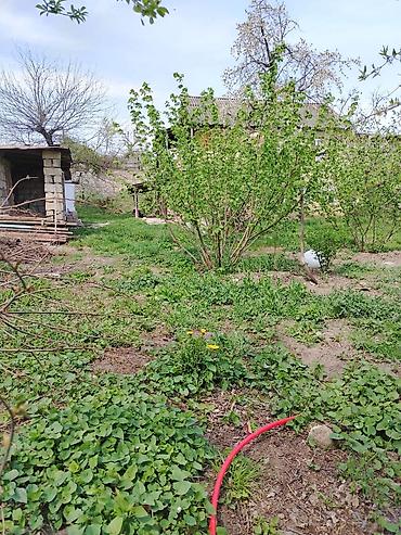 Torpaq sahələrinin satışı: 10 sot, Mülkiyyətçi — 9