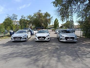 sonata: Hyundai Sonata: 2020 г., 2 л, Автомат, Газ, Седан — 1