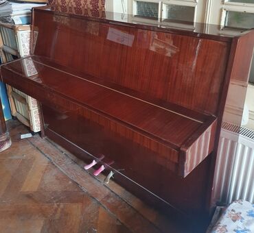 Musiqi alətləri: Piano, Petrof, Akustik