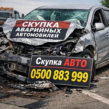каракол мото: Скупкага скупка скупка авто аварийный состояние скупка скупка авто — 1