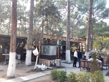 Restoran, kafelər: Sumqayıt şəhəri Nəsimi Parkında Meşəlik ərazidə yerləşən, açıq — 4