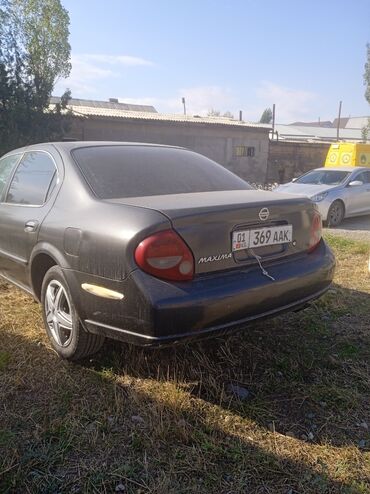 сиденья на нексия: Nissan Maxima: 2000 г., 3 л, Автомат, Бензин, Седан