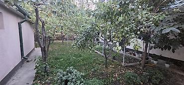 Дом с двором и садом - Один этаж, светлый фасад, пластиковые окна. - at lalafo.kg Дом с двором и садом - Один этаж, светлый фасад, пластиковые окна. -