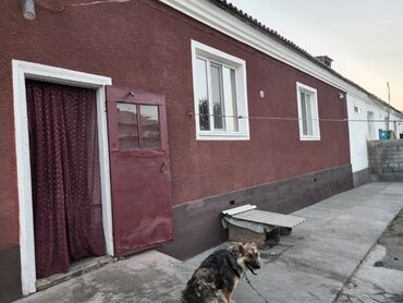 1 комнатная квартира в караколе в Кыргызстан | Посуточная аренда квартир: 3 комнаты, 50 м², 1 этаж, Свежий ремонт, Автономное отопление